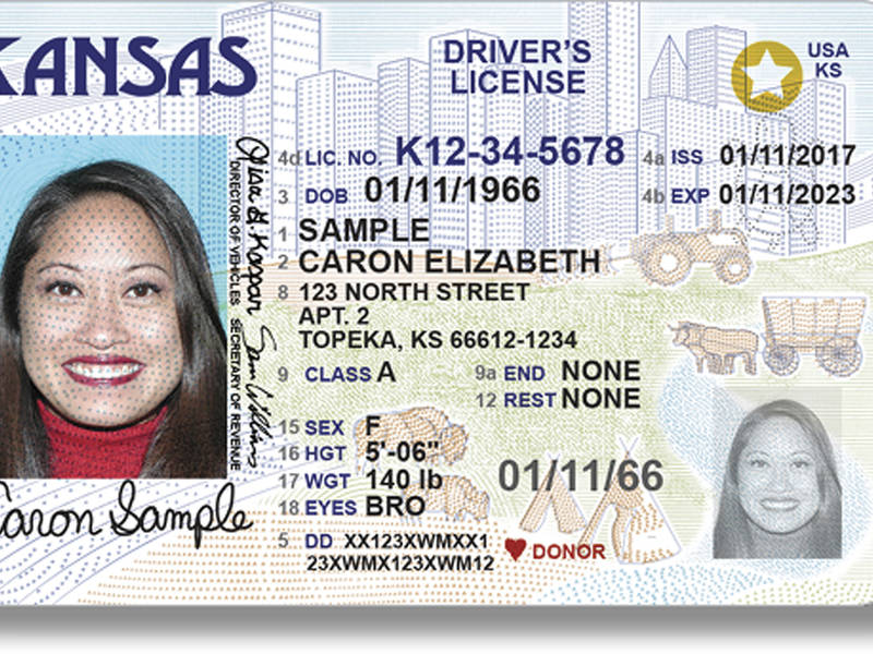 What Does A Hole Punched Drivers License Mean In California - fasrmath